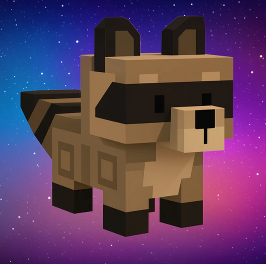 (x3) Raccoon