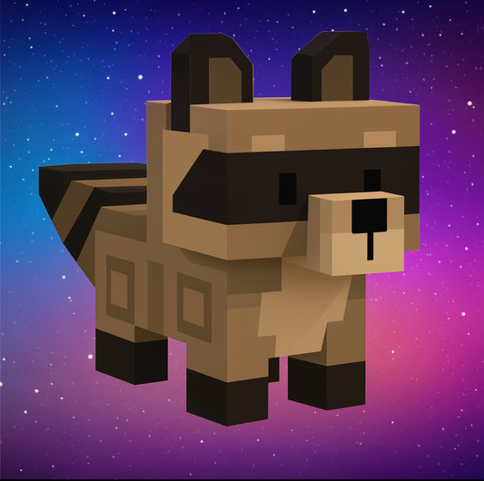 Raccoon